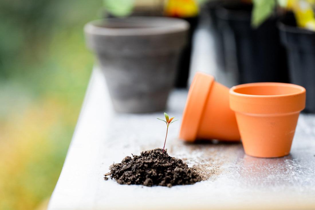 Get Down and Dirty With Soil Science 101