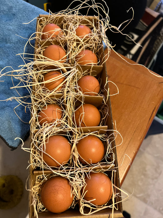 'ORGANIC FIELD-RANGED EGGS'