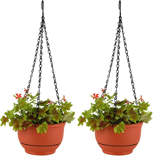 'HANGING BASKETS'